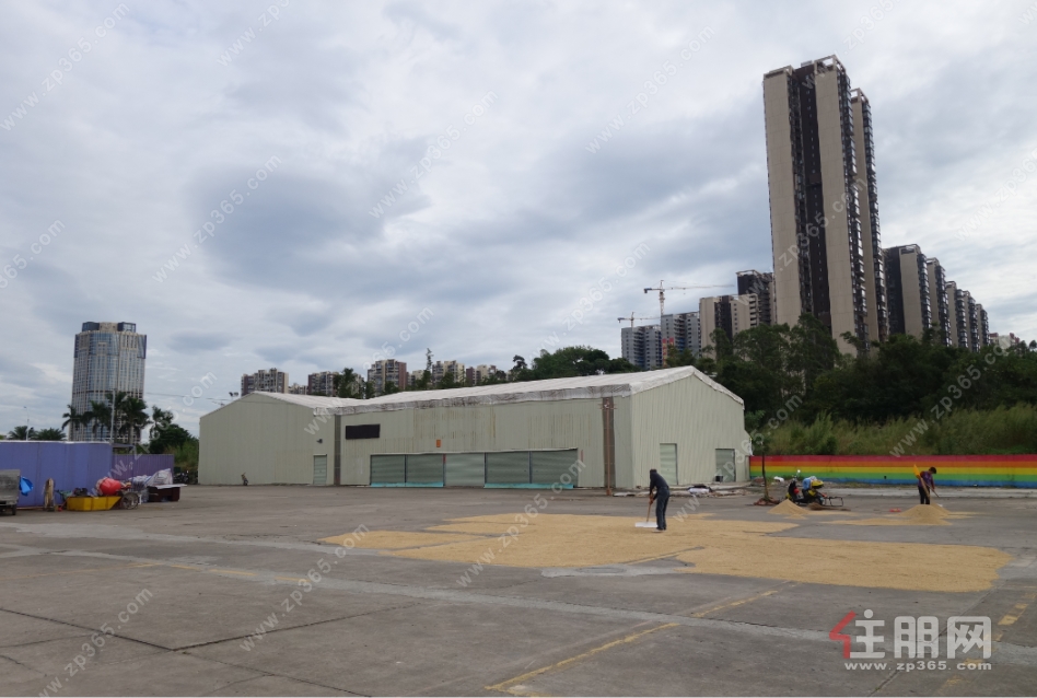 地块现状 地块现状