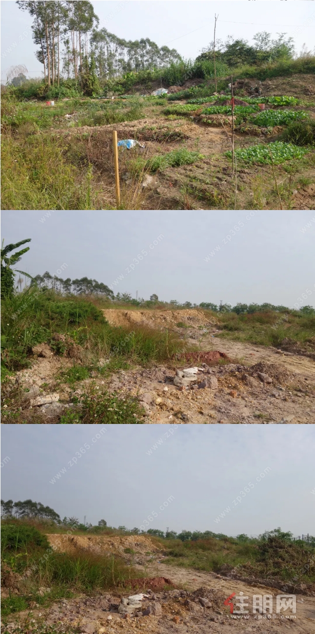 地块现状 地块现状