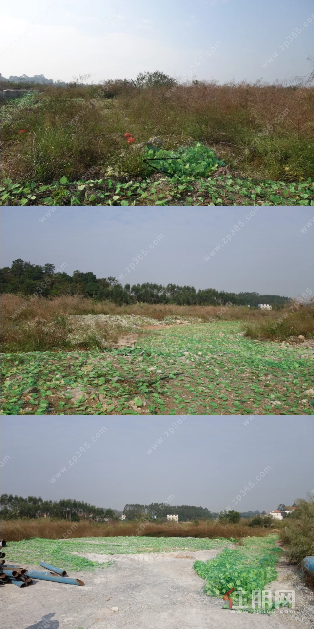 地块现状 地块现状