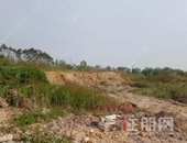 揽金4.65亿！钦州3宗商住地成交，出让面积超300亩