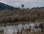 约7.04亩，1060万！中马产业园1宗商住用地成交