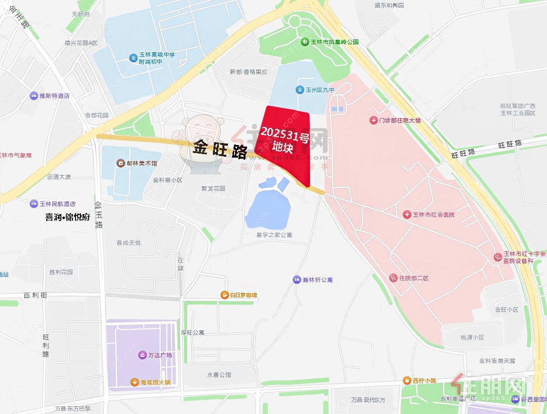 202531号地块 202531号地块