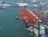 54.96万，增长72.3%！西部陆海新通道推动地区经贸往来