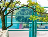  6月30日起报名！2025年港北区中小学招生计划、划片范围出炉