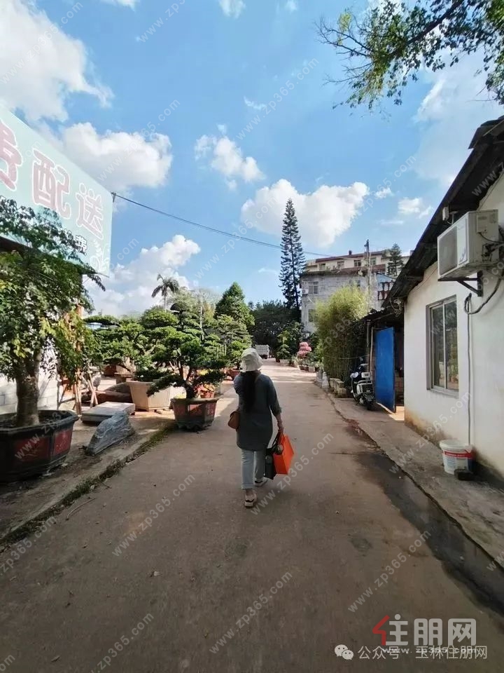 江南花市2