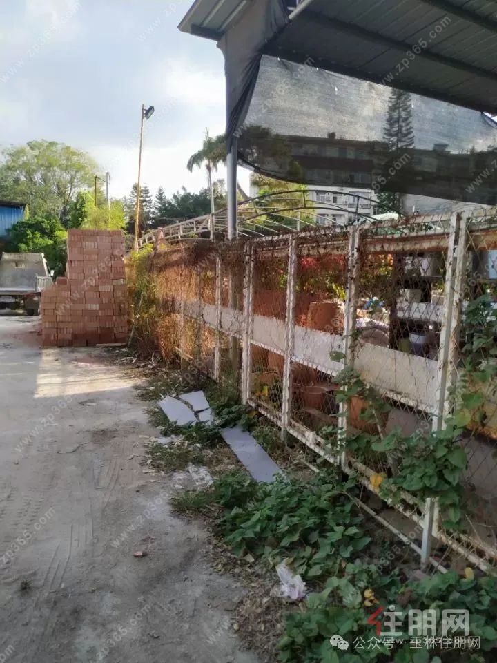 江南花市3