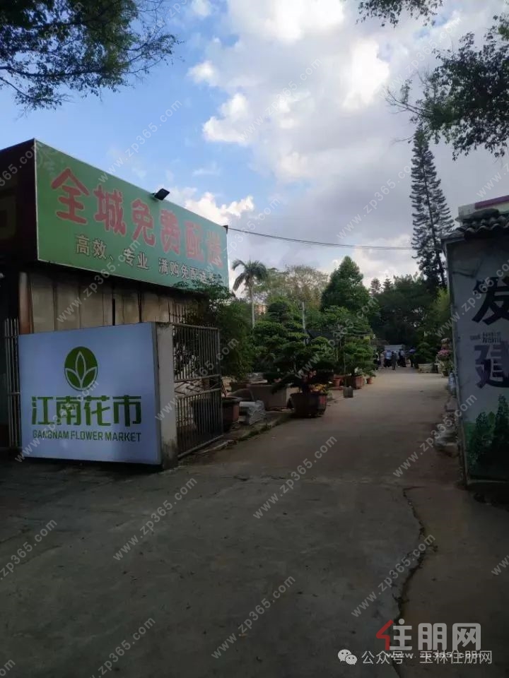 江南花市4