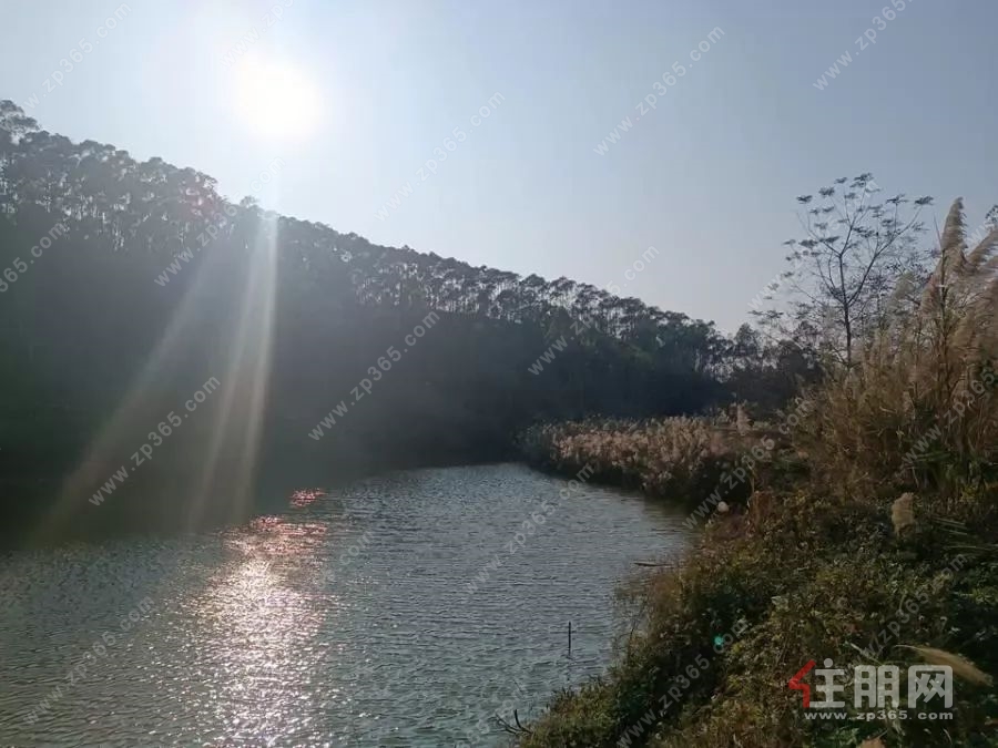 现场图