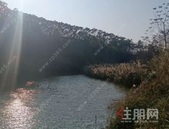 起拍价1亿，约118.84亩！辣椒槌片区住宅用地即将开拍