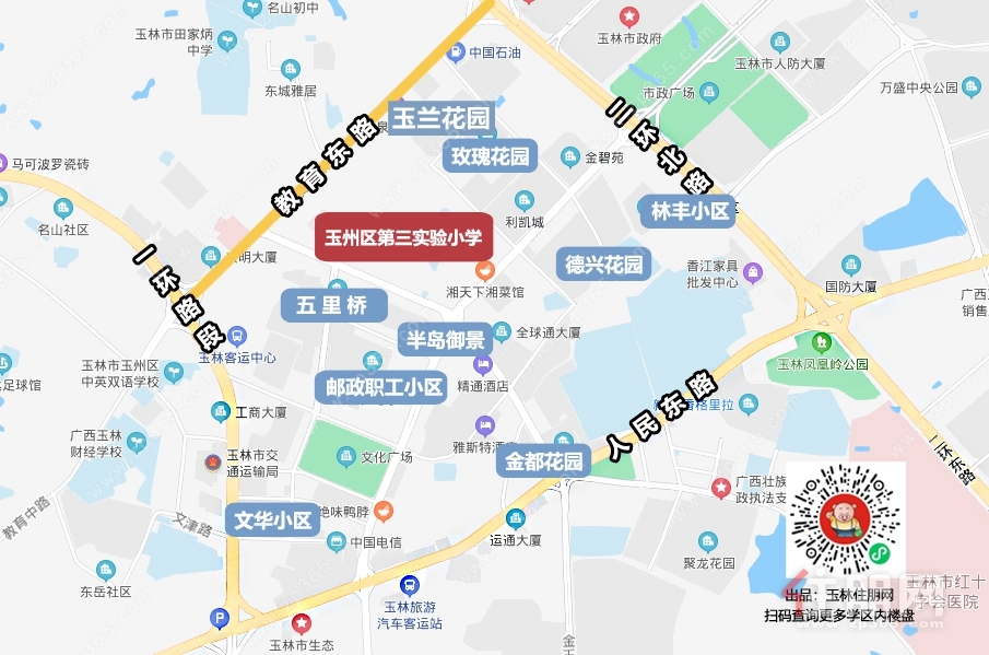 3实验三小
