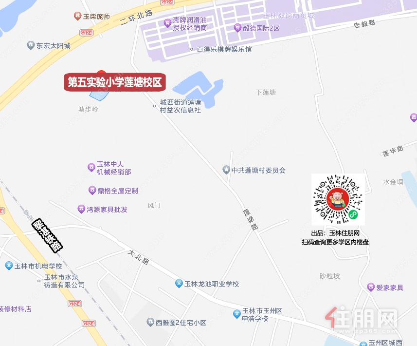 31莲塘