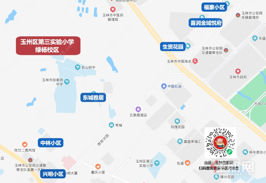 34绿杨