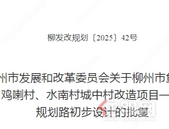 总投约2169万！柳州这些片区规 划道路，起止位置和长度是…