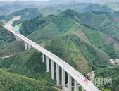 预计年底通车！苍容高速容县段再获突破