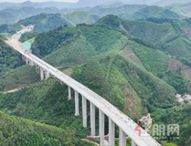 预计年底通车！苍容高速容县段再获突破
