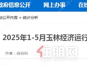 公布！玉林2025年1-5月经济运行总体平稳，消费市场回升向好