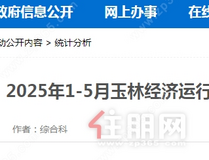 公布！玉林2025年1-5月经济运行总体平稳，消费市场回升向好