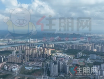 实锤！龙岗交通迎十年大升级