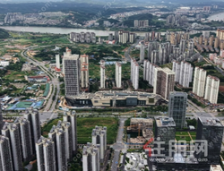 龙岗杀出黑马！这个楼盘周认购约2036万，它凭啥？