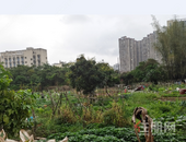 5530万！正元地产拿下约29亩商住用地，位置在……