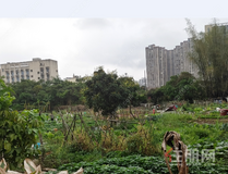 5530万！正元地产拿下约29亩商住用地，位置在……
