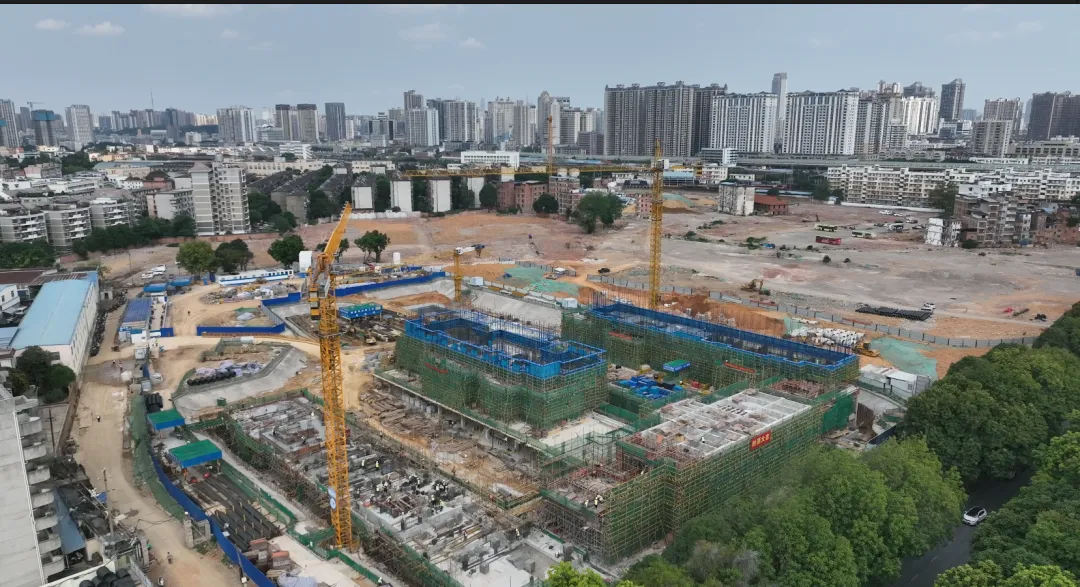 微信图片_20260513094015_622_34.png