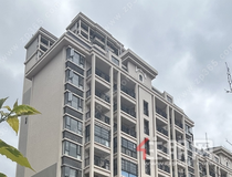 龙岗“商务+生态”双核驱动，价值逻辑变了！