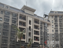 龙岗VS五象南：一个讲现在，一个讲未来，你站谁？