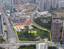 7次流拍!南宁凤岭北核心地沦为“烫手山芋”,背后是广西前首富的崩塌史