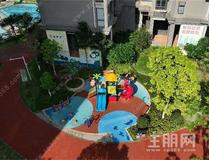 【住朋网】龙岗陪读刚需好房!近那安快速路国企现房,月供 1800 起,上学通勤两不误