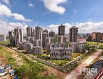 2亿AI项目落地，龙岗这次接了个多大的盘？