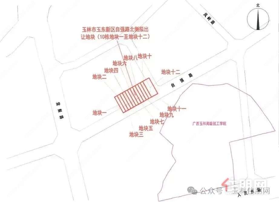10栋地块