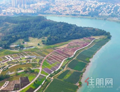 谁说它没学 区？龙岗的“教育密度”被严重低估了