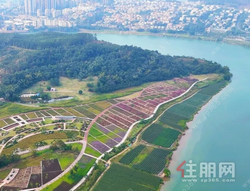 谁说它没学 区？龙岗的“教育密度”被严重低估了