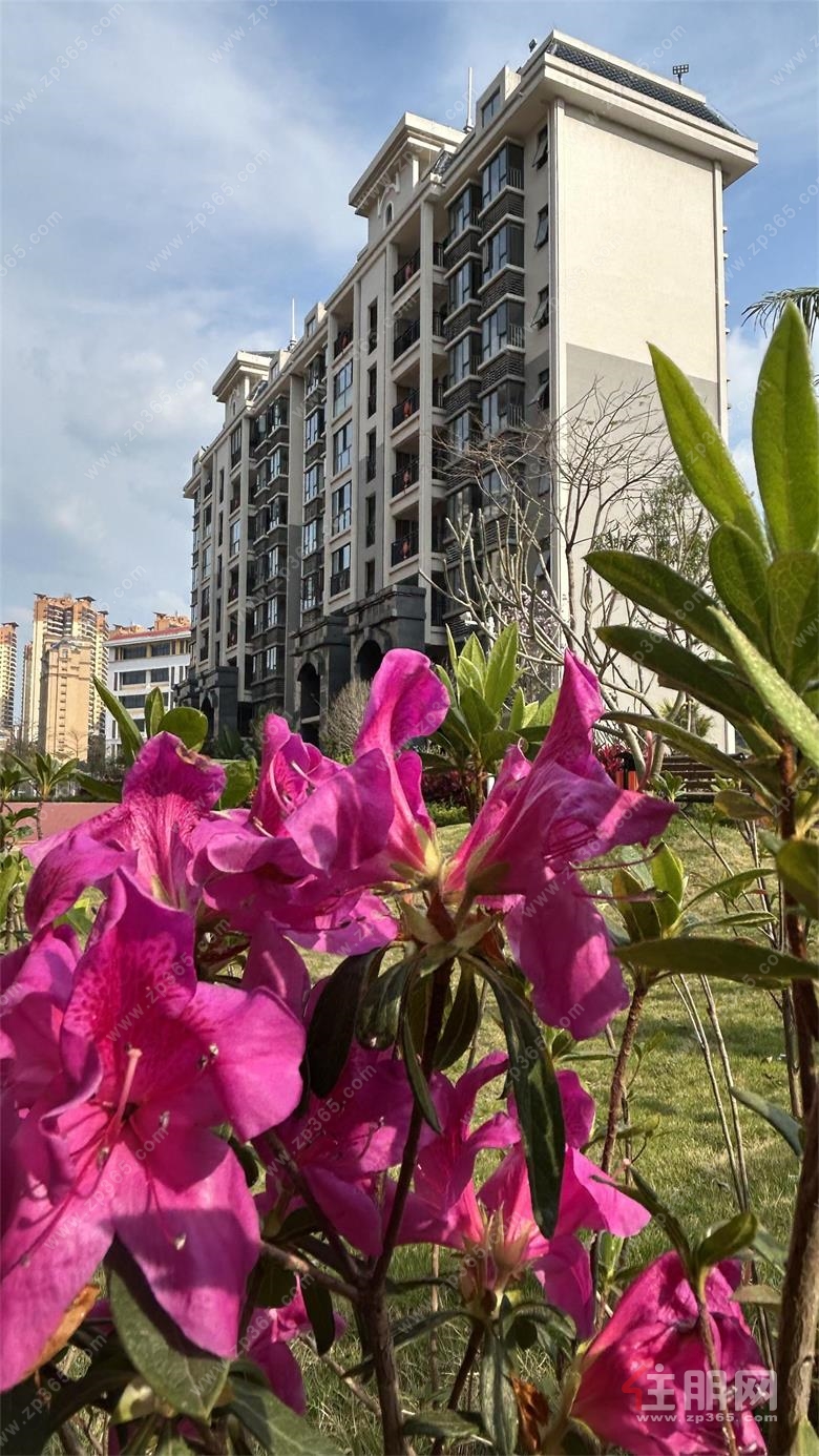 龙庭水岸03.jpg 龙庭水岸03.jpg