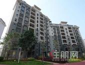 书包房避坑指南——五象东现房，划片稳定才是硬道理   