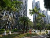 五象龙岗价值洼地！国企现房锁定成熟 A +书包，八桂绿城・龙庭水岸自住、兼顾教育双稳妥