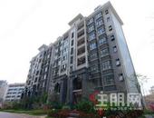 邕宁民中中考A+率14.2%！龙岗“黄金双书包现房，5字头起即买即住