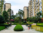 龙光业主说|我摊牌了！这便是我向往的生活