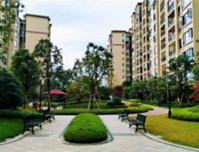 龙光业主说|我摊牌了！这便是我向往的生活