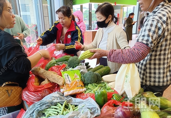 此图:新鲜蔬菜、瓜果经营摊位