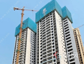 凤凰城家书 | 万象更新，家音如约而至