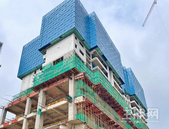 凤凰城七月家书丨家音渐近，幸福可期