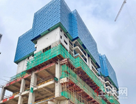 凤凰城七月家书丨家音渐近，幸福可期