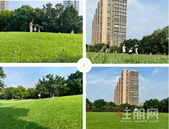 万豪丽城｜马草江公园改造后的**个秋天，美翻了！