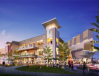 热势难挡，大家为何都在抢这个全能明星投资品！