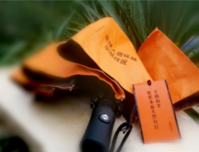 龍胤花园别墅全城雨中送伞，那一抹黄很亮很暖