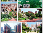 康桥1209｜美好初夏，康桥“家”音！