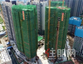 凤岭北这个热门盘又出猛料了, 这次内容是…