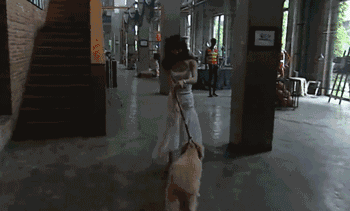 奋斗2.gif 奋斗2.gif